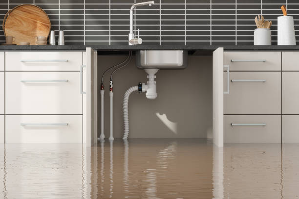 Best Crawl Space Water Damage Solutions in Sunland Park, NM